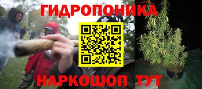 скорость Моздок
