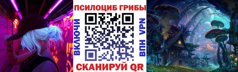 Псилоцибиновые грибы мицелий  Свободный 